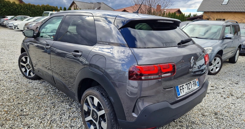 Citroen C4 Cactus cena 54900 przebieg: 35000, rok produkcji 2019 z Sulechów małe 154